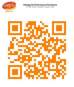 QR Code Quishing conseil en entreprise Toulouse